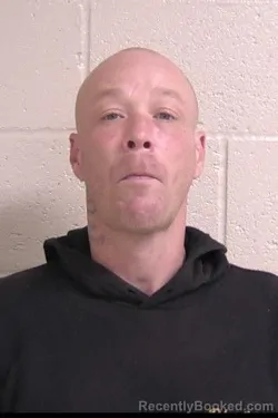 Booking photo from Madison County, Illinois