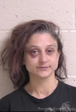Mugshot of ERIKA HUCK