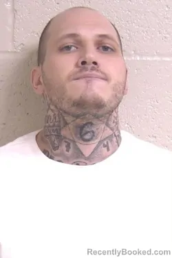 Mugshot of CHASE LINDSAY
