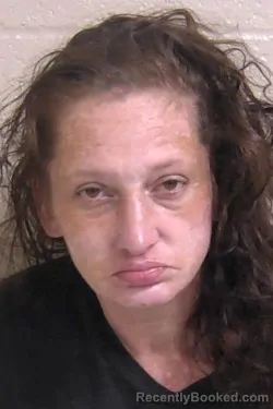 Mugshot of ALYSSA VINSON booked in Madison County, Illinois on June 25, 2026