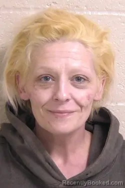 Mugshot of JOANNE HIBBS