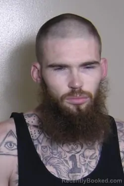 Mugshot of AARON HARVEY