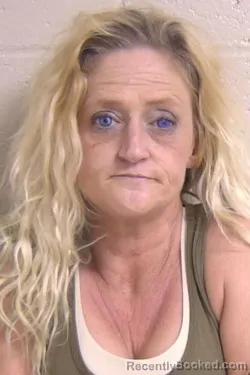 Mugshot of NICOLE PHELPS booked in Madison County, Illinois on June 26, 2026