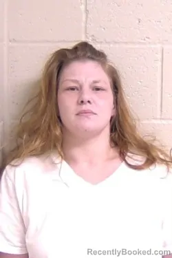 Booking photo from Madison County, Illinois