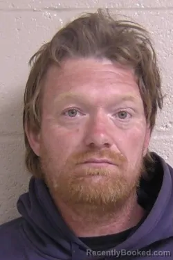 Mugshot of JESSIE MATTHEWS