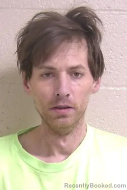 Booking photo from Madison County, Illinois