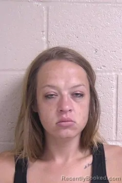 Mugshot of Sydney White booked in Madison County, Illinois on September 9, 2026