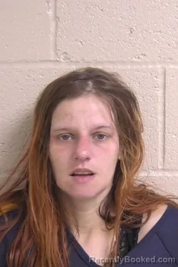 Mugshot of LACEY SANDERS booked in Madison County, Illinois on April 25, 2026