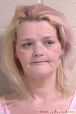 Mugshot of SAVANNAH SANDERS booked in Madison County, Illinois on April 3, 2026