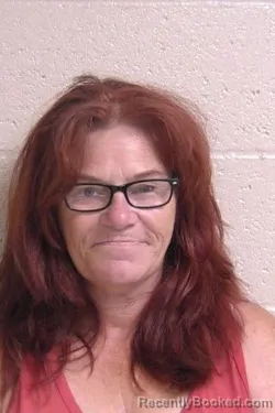 Mugshot of Lisa Townsend booked in Madison County, Illinois on August 20, 2026