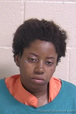 Mugshot of ALONNA HAYNES