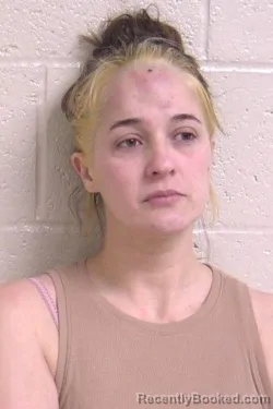 Mugshot of CAMILLE FUJIWARA