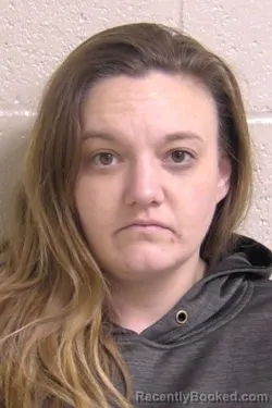 Booking photo from Madison County, Illinois