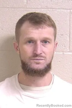 Booking photo from Madison County, Illinois