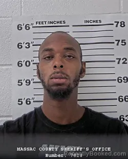 Mugshot of LEE A MINOR