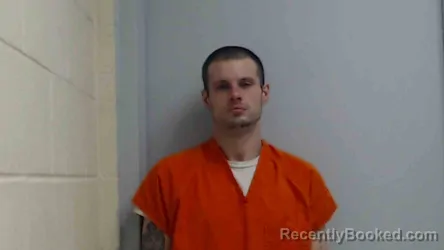 Mugshot of DAVID BOWERS