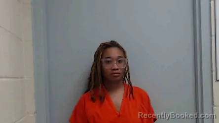 Mugshot of JOHNETHA N BROWNLEE booked in Monroe County, Illinois on April 1, 2026