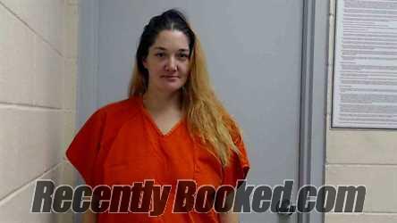 Booking photo from Monroe County, Illinois