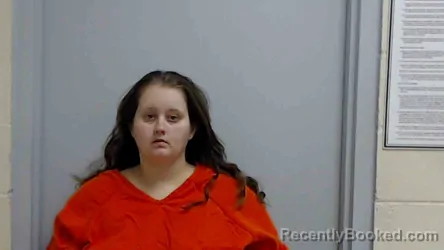 Mugshot of BRANDI N ROHLFING