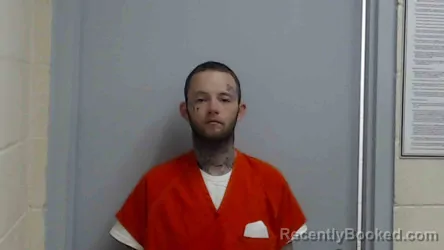 Mugshot of NATHAN JAMES REEVES