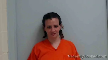 Mugshot of JANEEN GRACE SALEM booked in Monroe County, Illinois on June 10, 2026