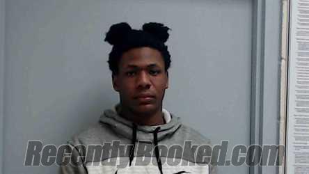 Booking photo from Monroe County, Illinois