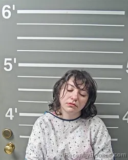 Mugshot of CHELSIE RONEE WOLFE booked in Montgomery County, Illinois on April 1, 2026