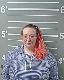 Mugshot of HEATHER A SMITH