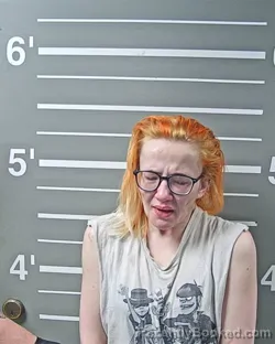 Mugshot of BRIENNA LYN FLY