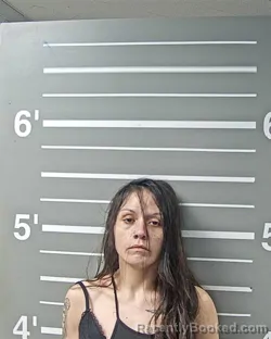 Mugshot of MICHELLE S DIXON booked in Montgomery County, Illinois on June 12, 2026