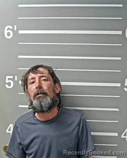 Mugshot of JAMES L AUSTIN booked in Montgomery County, Illinois on April 2, 2026