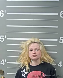 Mugshot of WILMA L VOLLINTINE
