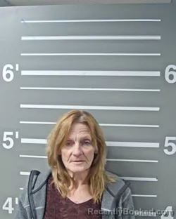 Mugshot of JANET K DUNN