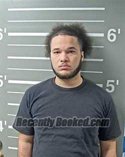 Mugshot of BRYCE R BROWN