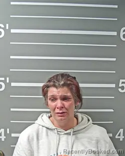 Mugshot of HOLLY J PEAT booked in Montgomery County, Illinois on April 24, 2026