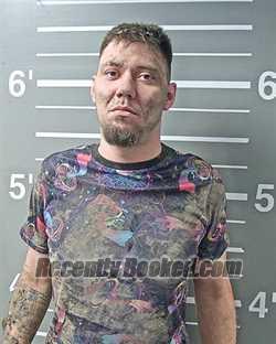 Booking photo from Montgomery County, Illinois