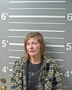 Mugshot of SHEILA KATHLEEN LYONS booked in Montgomery County, Illinois on April 25, 2026