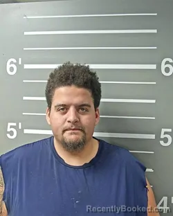 Mugshot of JOHN SANDERS