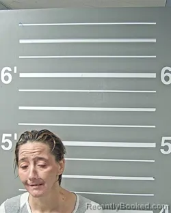 Mugshot of SAVANNAH N LANCASTER booked in Montgomery County, Illinois on June 30, 2026