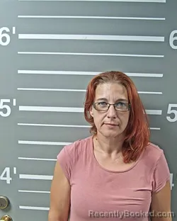 Mugshot of Bonnie L Henry booked in Montgomery County, Illinois on August 17, 2026