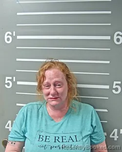 Mugshot of SHERRIE P DOPSON booked in Montgomery County, Illinois on June 5, 2026