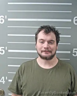 Mugshot of BRIAN E HOLMES