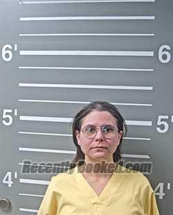 Booking photo from Montgomery County, Illinois