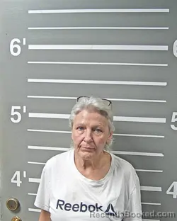 Mugshot of TWYLA M FAULKNER booked in Montgomery County, Illinois on June 12, 2026
