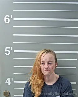 Mugshot of TASHA M LAWSON booked in Montgomery County, Illinois on March 30, 2026