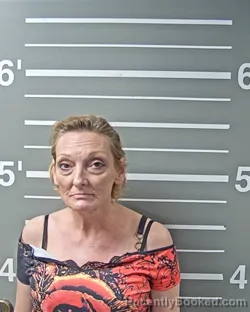Mugshot of MICHELLE C FINLEY