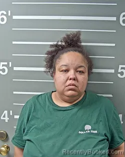 Mugshot of NICOLE A HUNTER