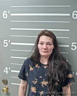 Mugshot of HEATHER E MEYERS