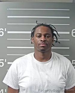Mugshot of BYRON CHRISTOPHER WILLIAMS