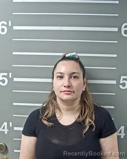 Mugshot of NIDIA M SANDOVAL booked in Montgomery County, Illinois on June 17, 2026